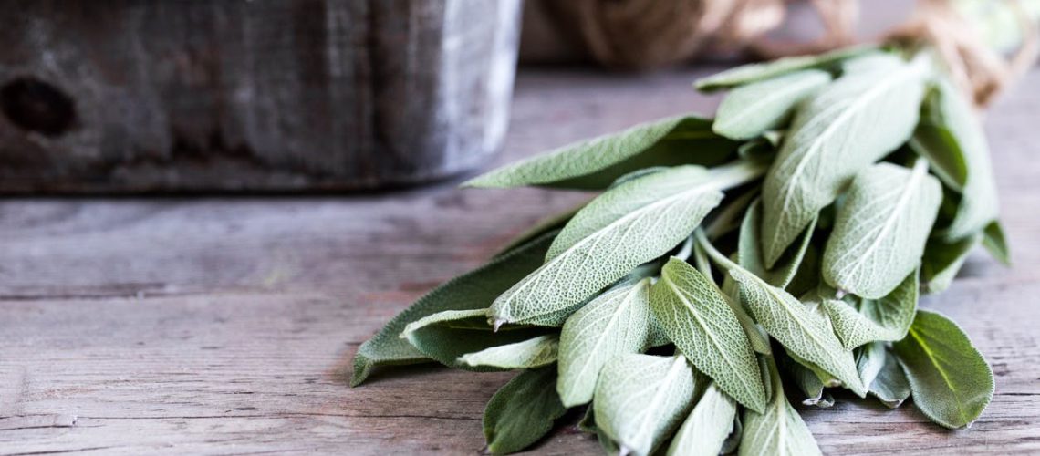 Quels sont les bienfaits de la sauge contre les bouffées de chaleur ? Quels sont les bienfaits de la sauge contre les bouffées de chaleur ?