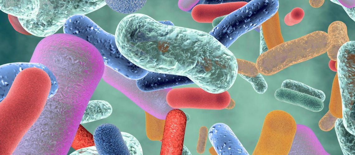 Microbiote intestinal : ce qu'il faut savoir pour rester en bonne santé